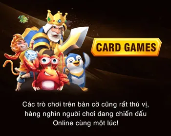 Email Hỗ Trợ